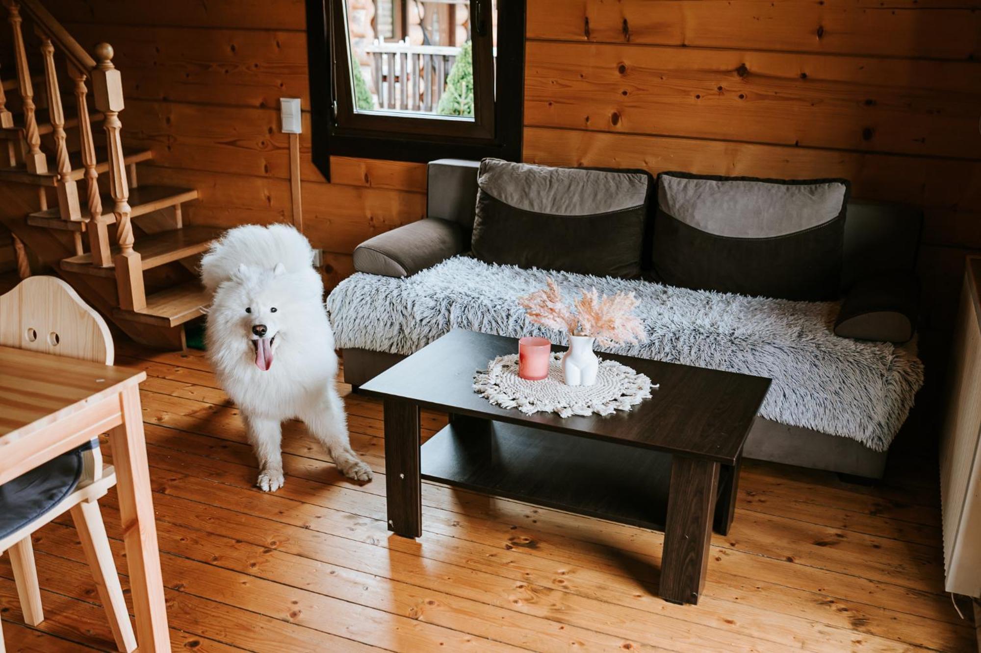 Domki,,Chatki Goralskie " Rabka Exteriör bild