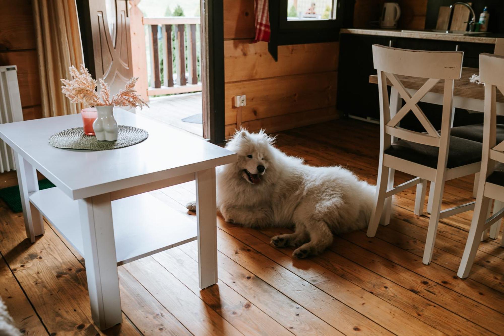 Domki,,Chatki Goralskie " Rabka Exteriör bild